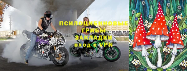 спиды Алексеевка